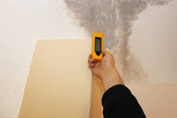 Best Real Estate Mold Inspection  in Mccormick, SC