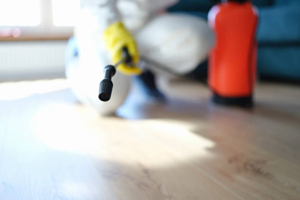 Best Industrial Mold Remediation  in Mccormick, SC