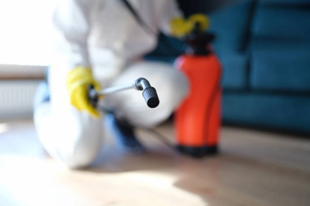 Best Basement Mold Removal  in Mccormick, SC